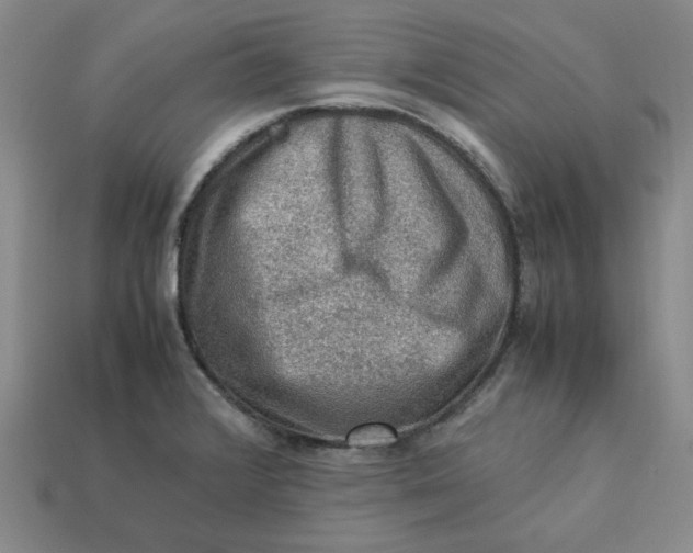 X0000113311376200910051054