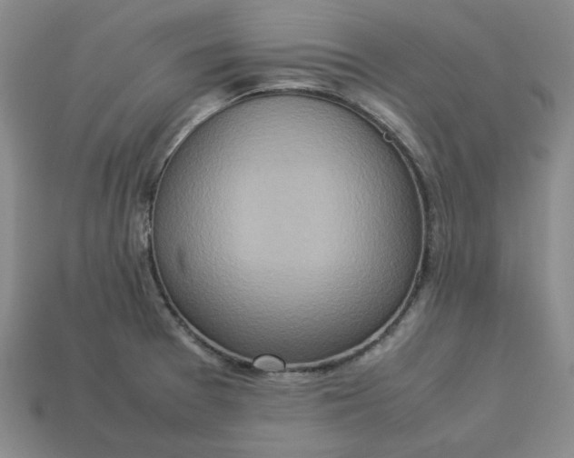 X0000113311377200910051054