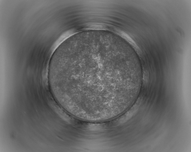 X0000113311378200910051054