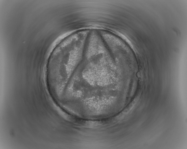 X0000113311379200910051054