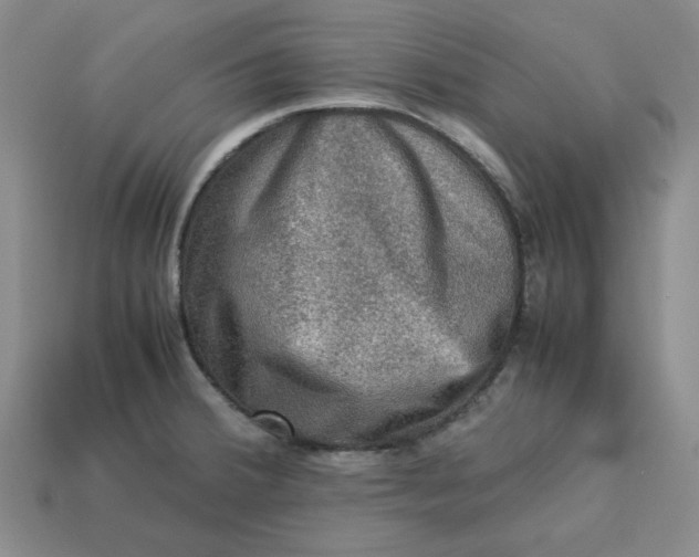 X0000113311380200910051054