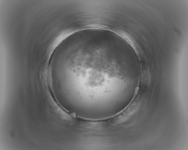 X0000113311381200910051054