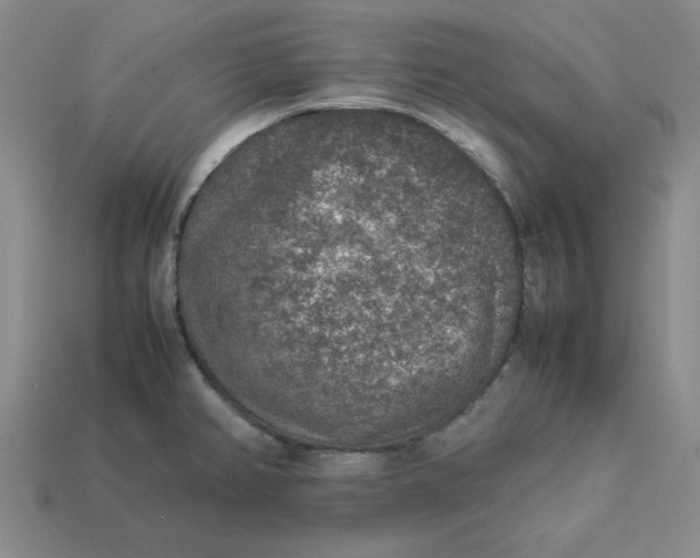 X0000113311382200910051054