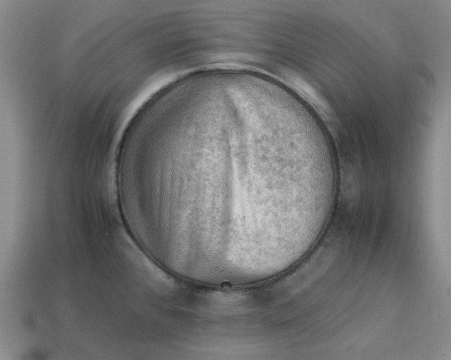 X0000113311384200910051054