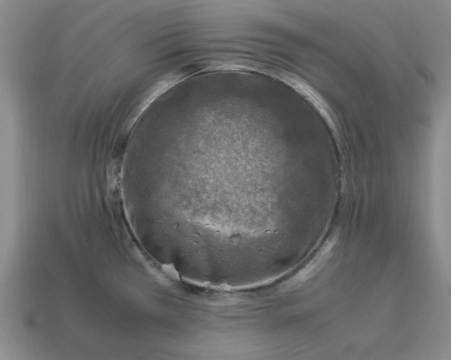 X0000113311385200910051054