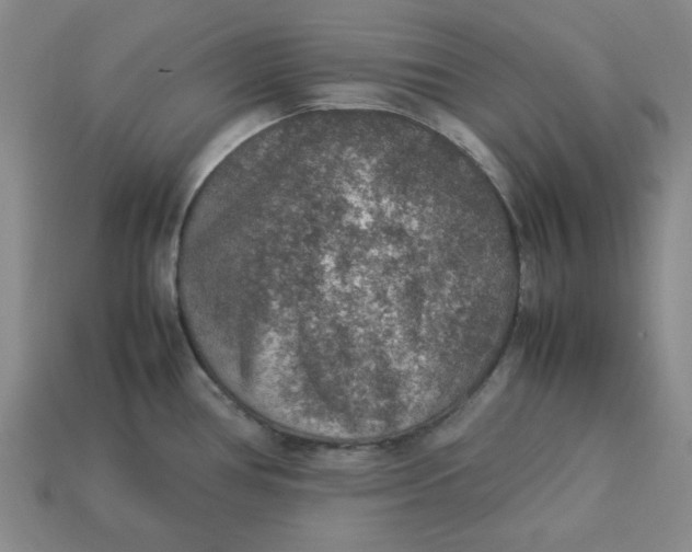 X0000113311386200910051054