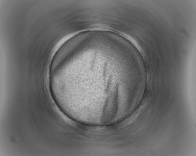 X0000113311387200910051054