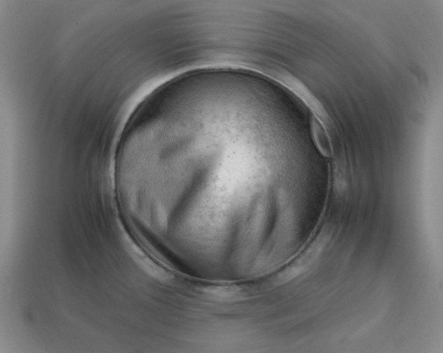 X0000113311388200910051054