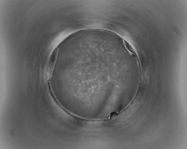 X0000113311389200910051054