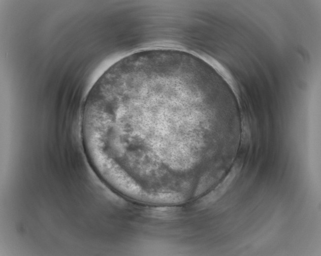 X0000113311390200910051054