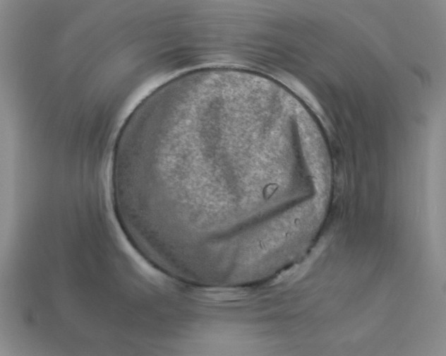 X0000113311391200910051054