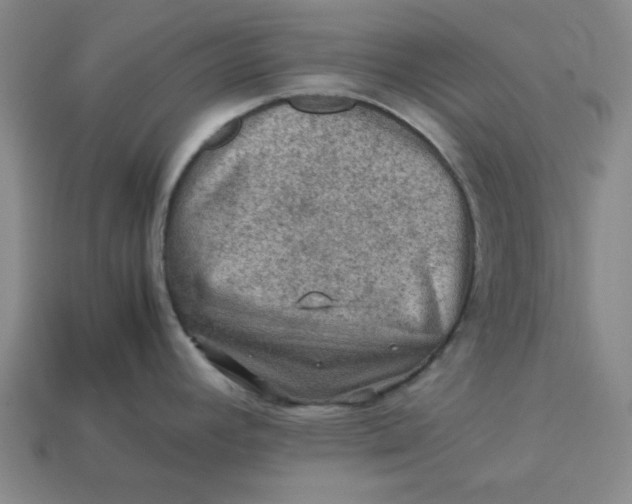 X0000113311392200910051054