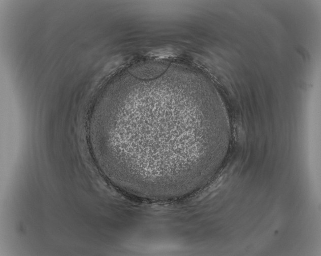 X0000113311393200910051053