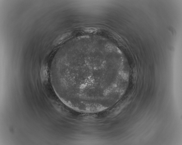 X0000113311394200910051053