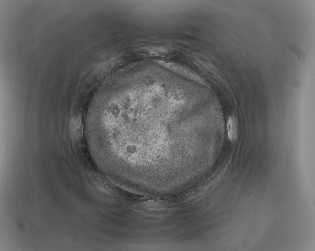 X0000113311395200910051053