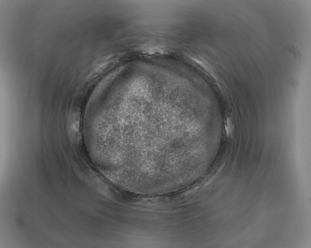 X0000113311396200910051053