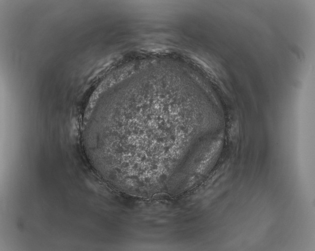 X0000113311397200910051054