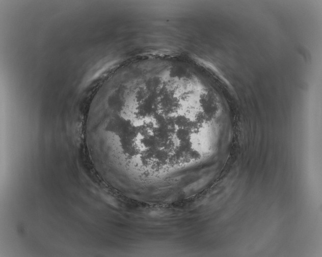 X0000113311399200910051054