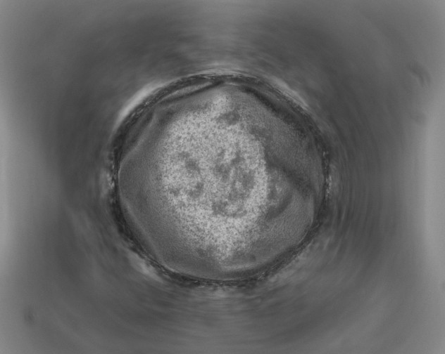 X0000113311400200910051054