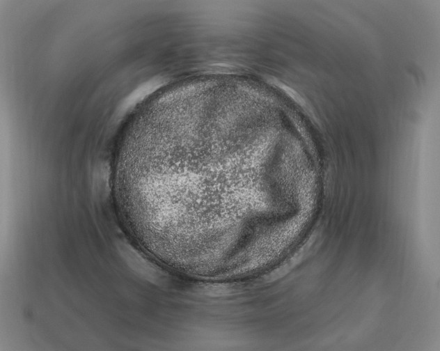 X0000113311402200910051054