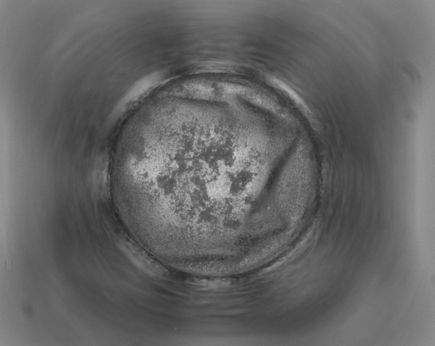 X0000113311403200910051054