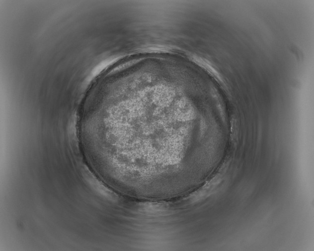 X0000113311404200910051054