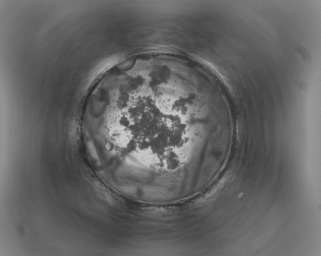 X0000113311405200910051054