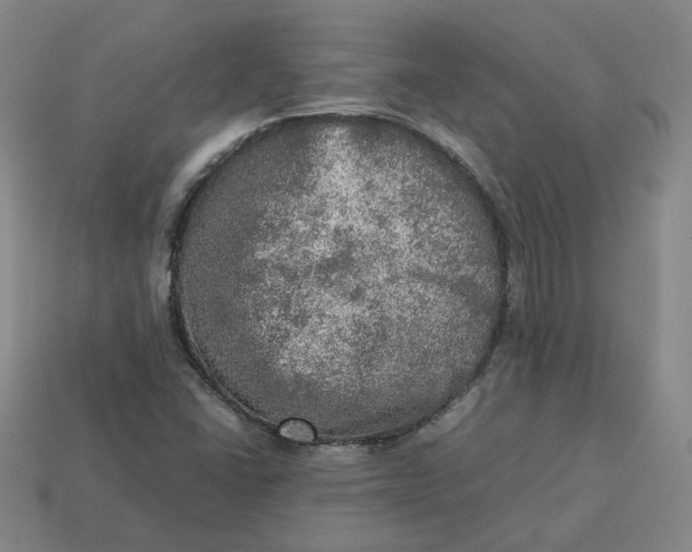 X0000113311406200910051054