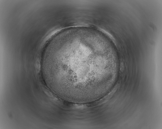 X0000113311407200910051054