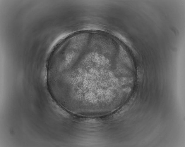 X0000113311408200910051054