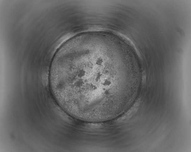 X0000113311409200910051054