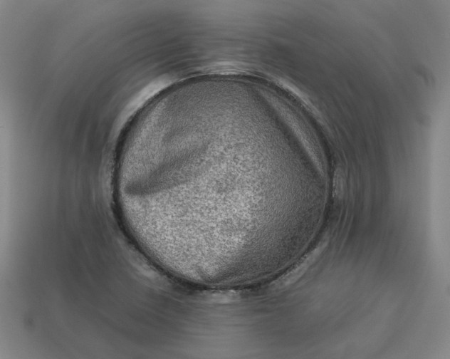 X0000113311410200910051054