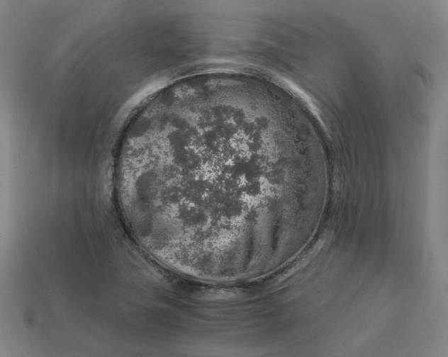 X0000113311411200910051054