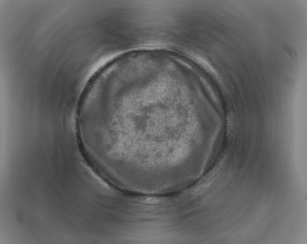 X0000113311412200910051054