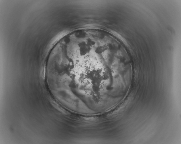 X0000113311413200910051054