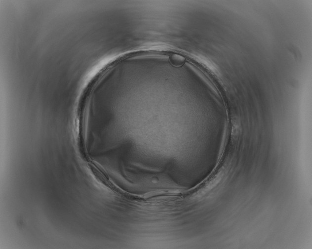 X0000113311414200910051054