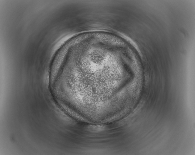 X0000113311415200910051054