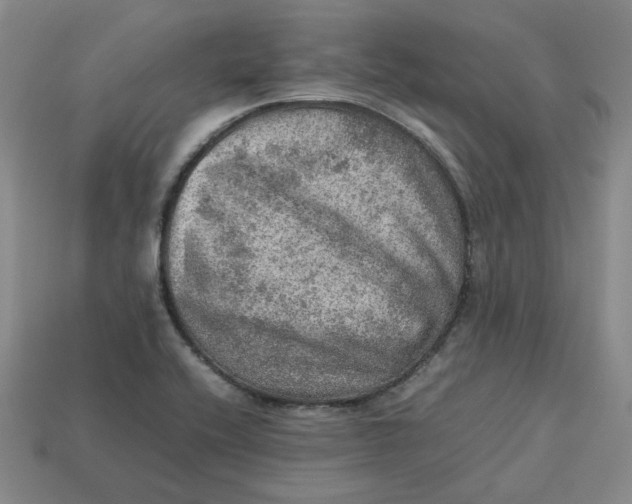 X0000113311416200910051054