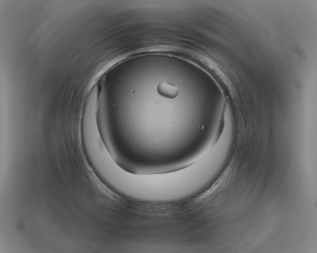 X0000113311417200910051054