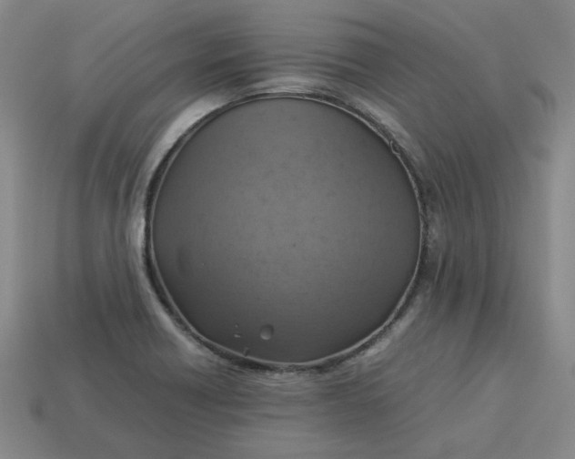 X0000113311418200910051054