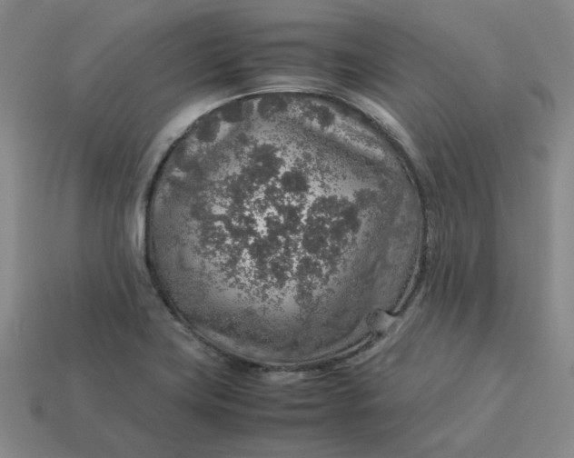 X0000113311419200910051054