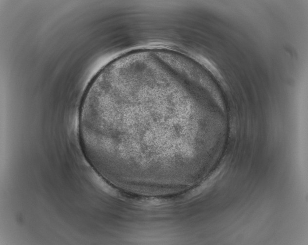 X0000113311420200910051054