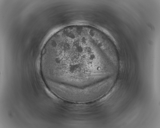 X0000113311421200910051054