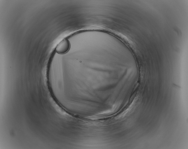 X0000113311422200910051054