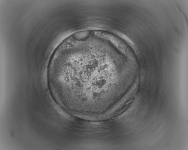 X0000113311423200910051054