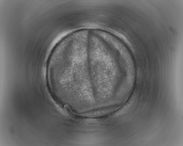 X0000113311424200910051054