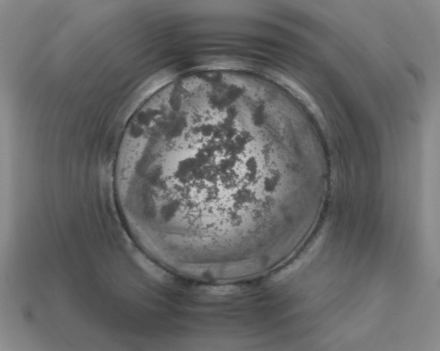 X0000113311425200910051054