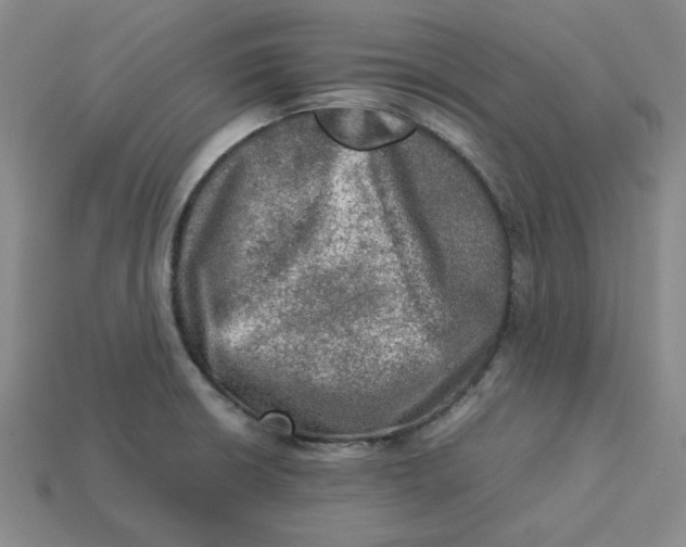 X0000113311426200910051054