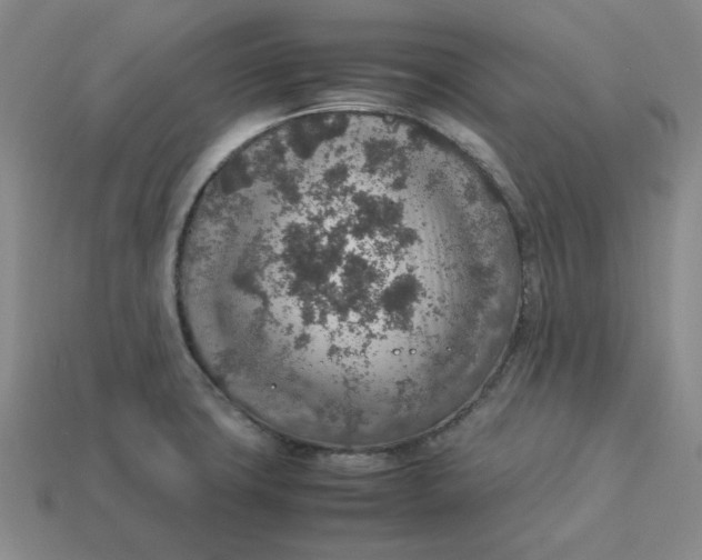 X0000113311427200910051054