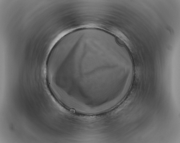 X0000113311428200910051054